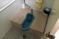 toilet_flow_1
